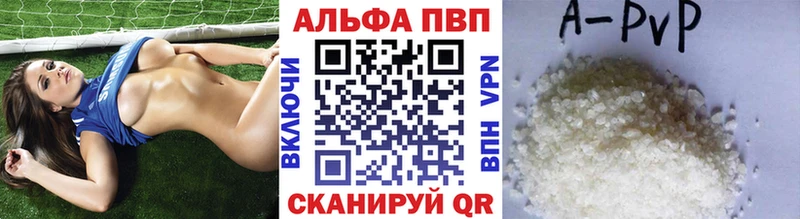 A PVP СК КРИС  Нестеров 