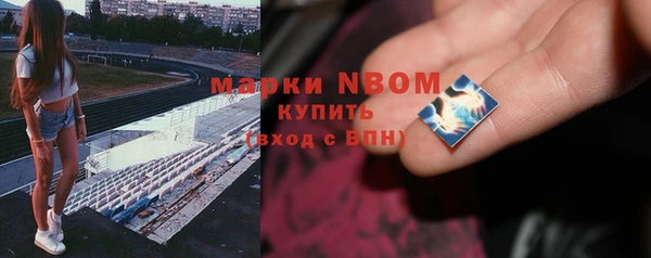 ешки Алексин