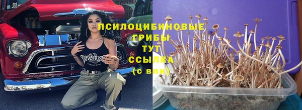 марки lsd Алексеевка