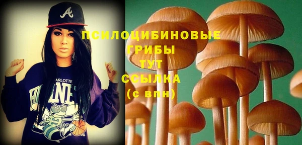 ешки Алексин