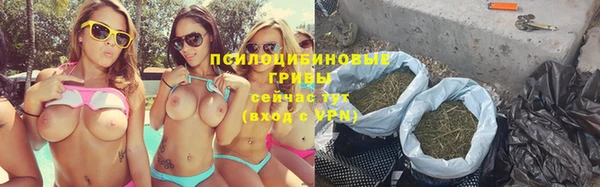 ешки Алексин