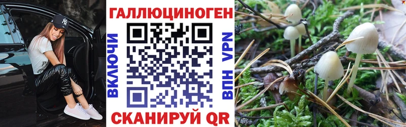 Галлюциногенные грибы прущие грибы  Нестеров 